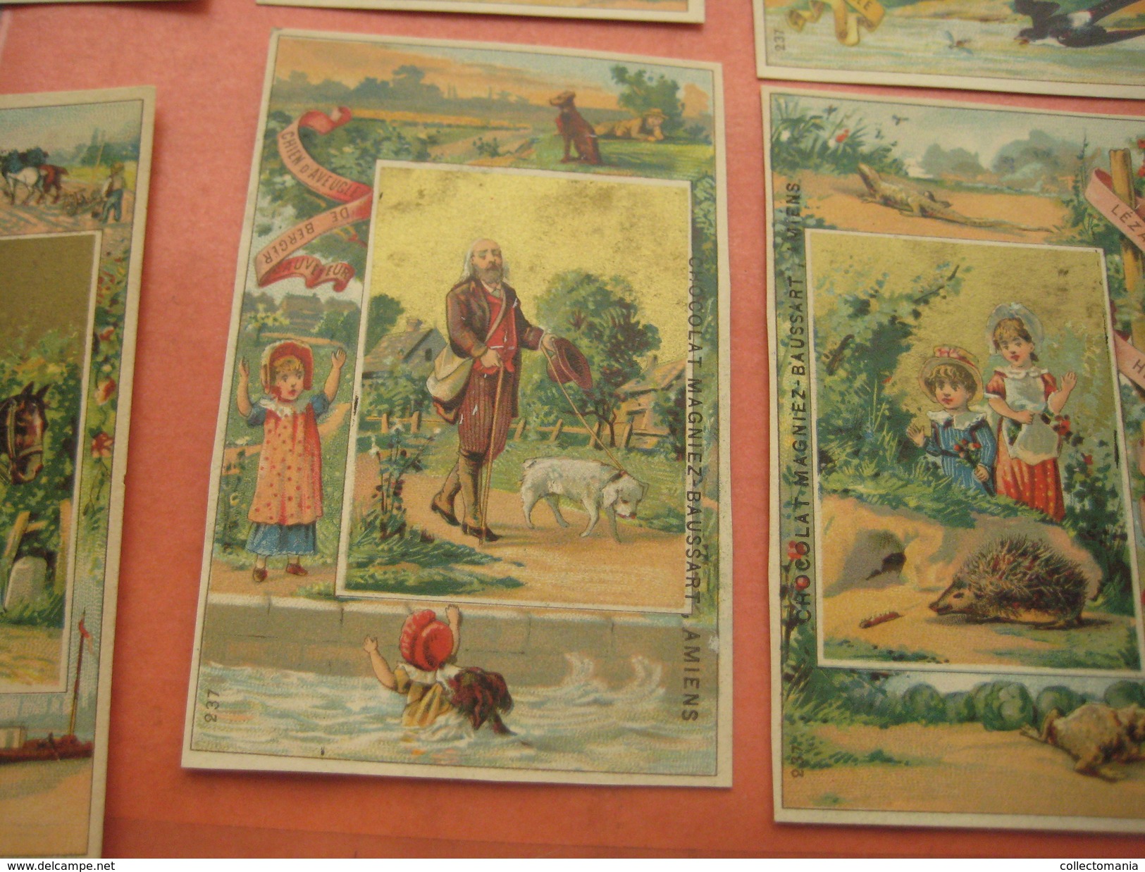 12 litho trade cards compl set237  CR 2-2-11 impr Courbe Rouzet PUB c1880 animals escargot viper Chocolat MAGNIEZ Amiens