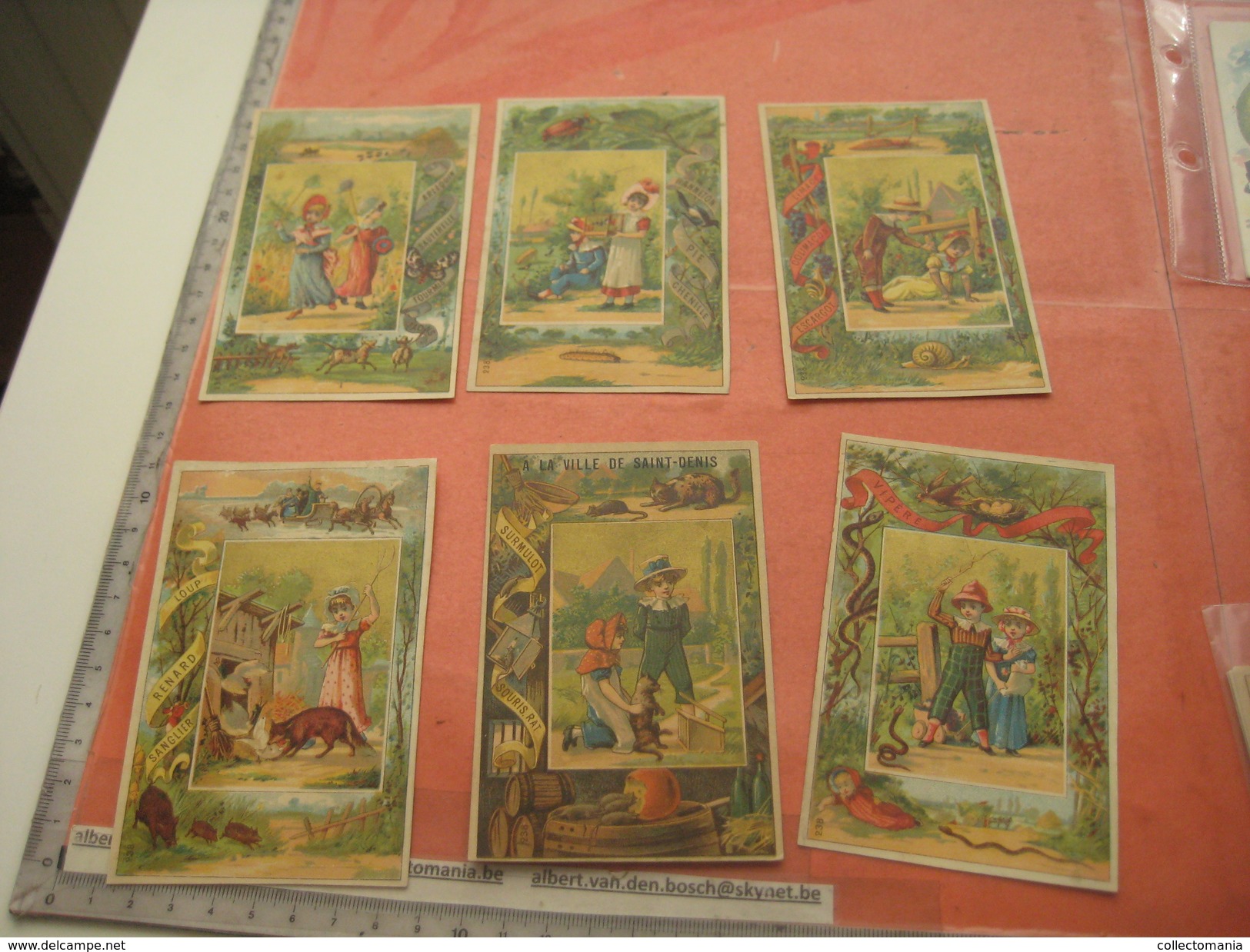 12 litho trade cards compl set237  CR 2-2-11 impr Courbe Rouzet PUB c1880 animals escargot viper Chocolat MAGNIEZ Amiens