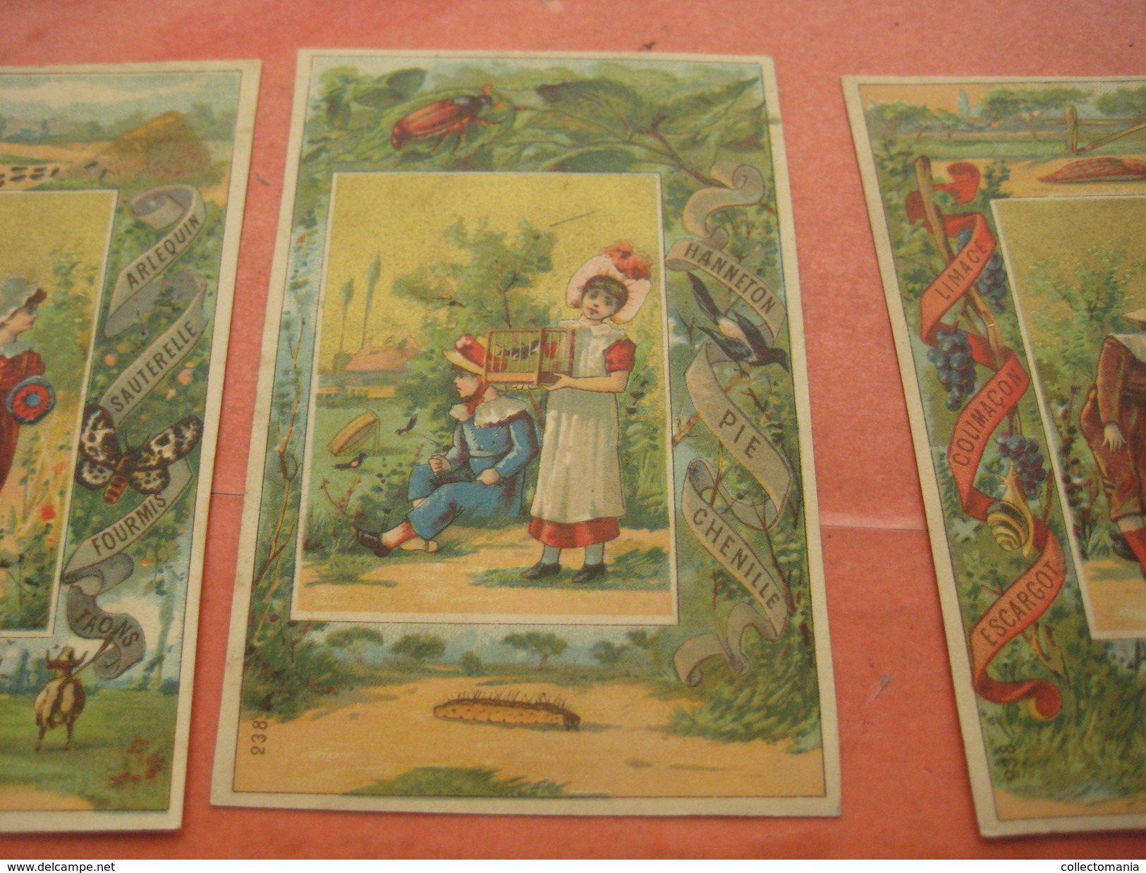 12 litho trade cards compl set237  CR 2-2-11 impr Courbe Rouzet PUB c1880 animals escargot viper Chocolat MAGNIEZ Amiens