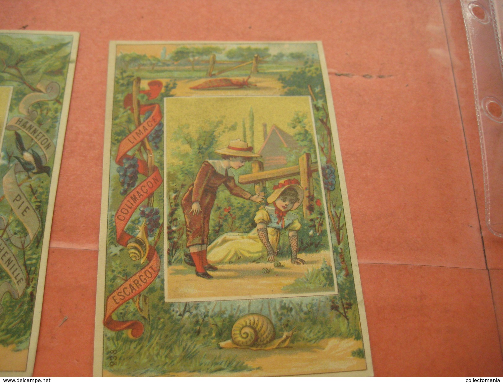 12 litho trade cards compl set237  CR 2-2-11 impr Courbe Rouzet PUB c1880 animals escargot viper Chocolat MAGNIEZ Amiens