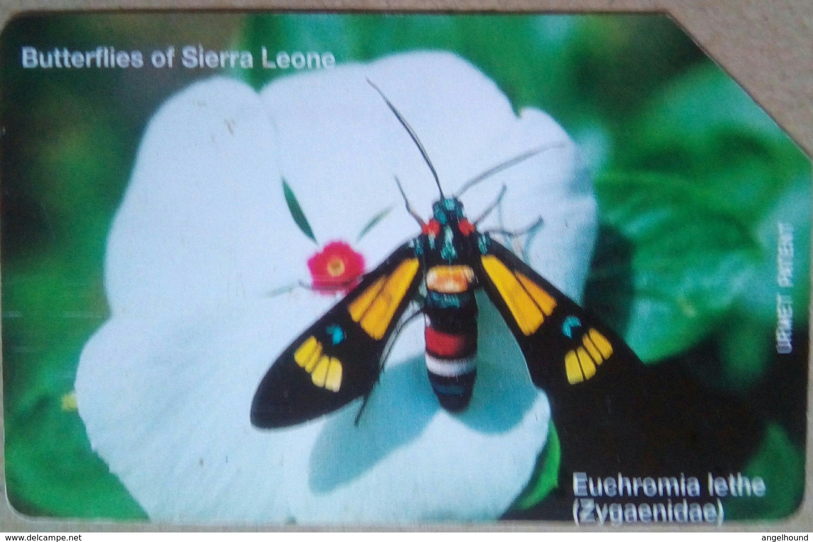 25 Units Butterflies Of Sierra Leone - Sierra Leone