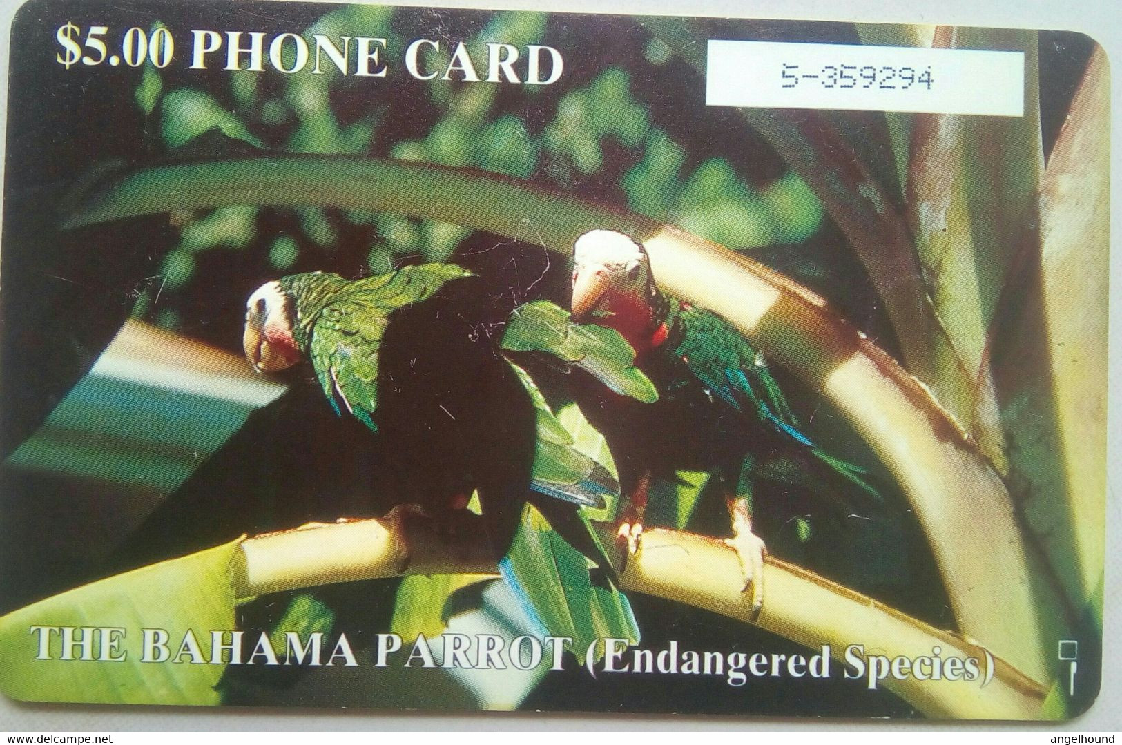 Bahamas $5 Chipcard, Parrot ( With Number In White Box) - Bahamas