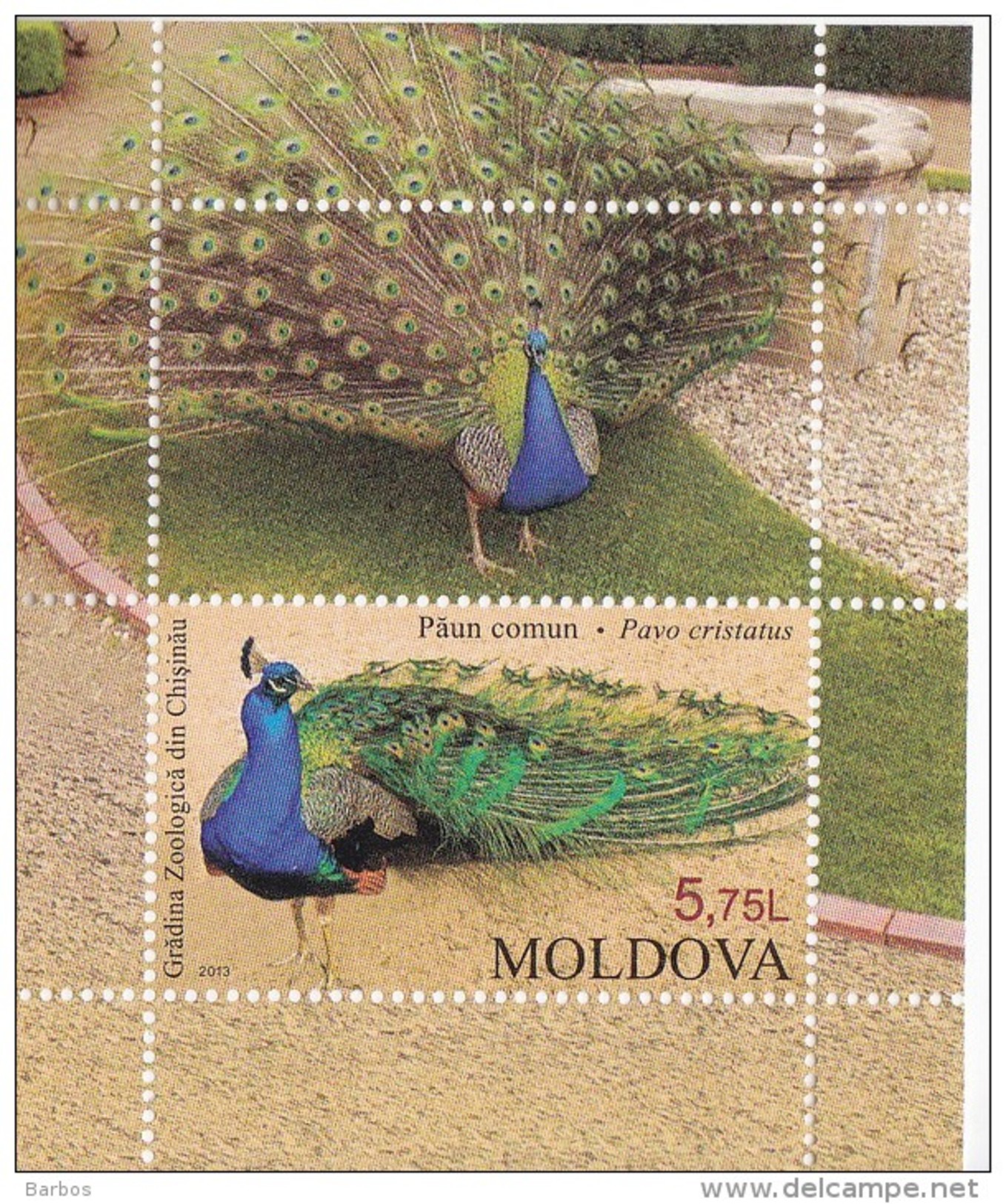 Moldova ,  2013 , Chisinau Zoo, S/s , Birds , Peacocks ,  MNH - Pfauen