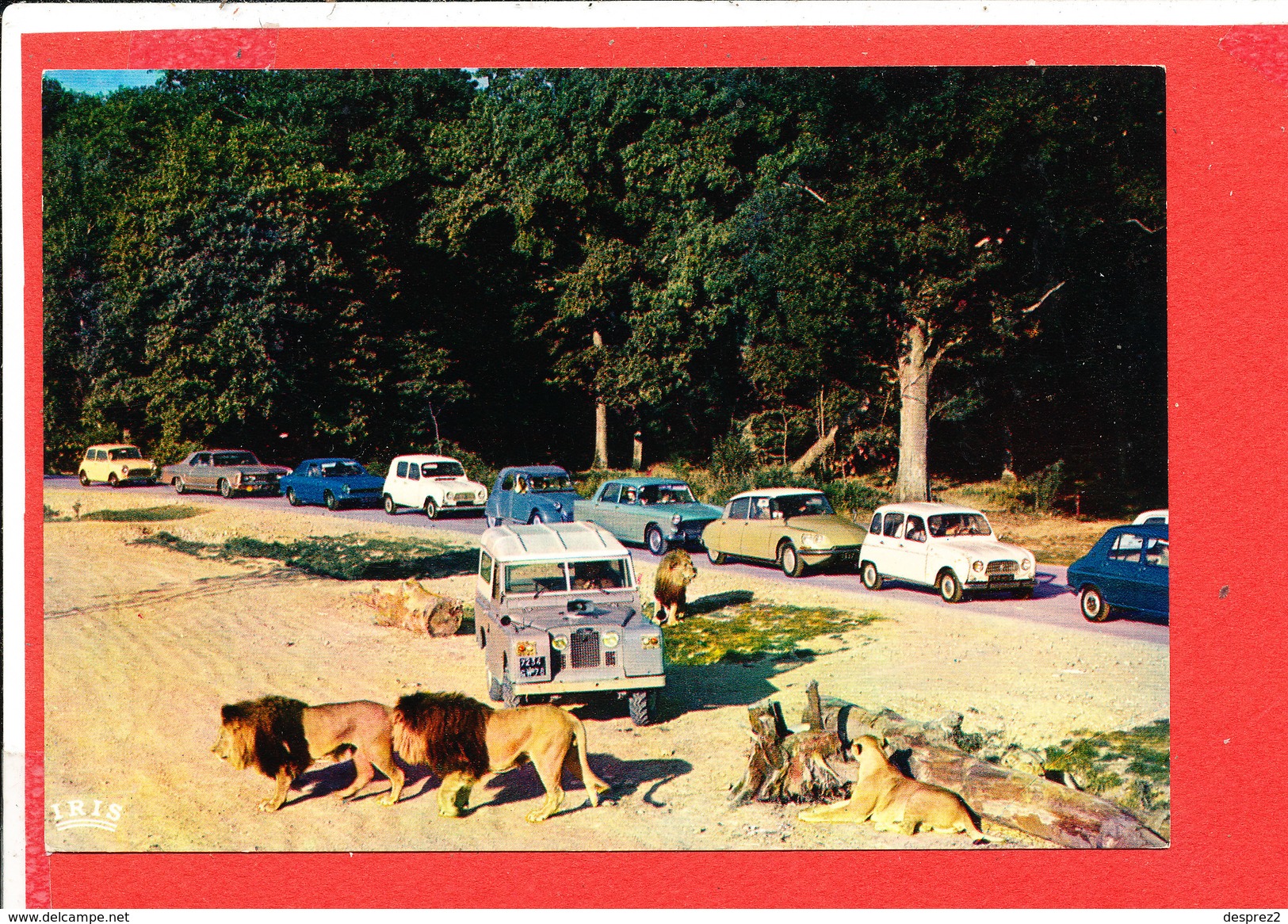 Chateau De Thoiry Zoo Parc Animalier Cpm Animée Lion 2 CV 4L - Lions