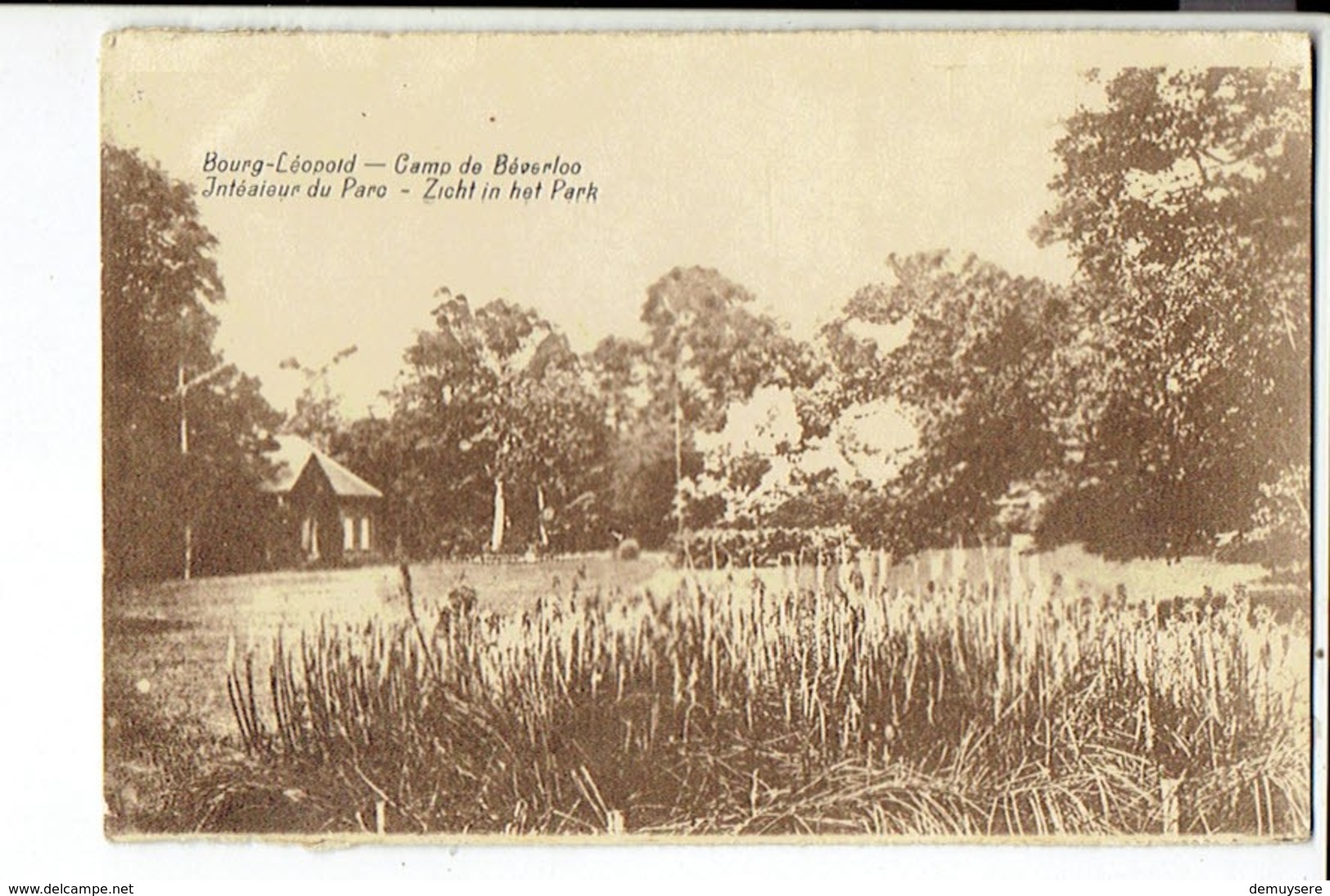 39426 Bourg Leopold - Camp De Beverloo - Inteaieur Du Parc - Zicht In Het Park - Leopoldsburg