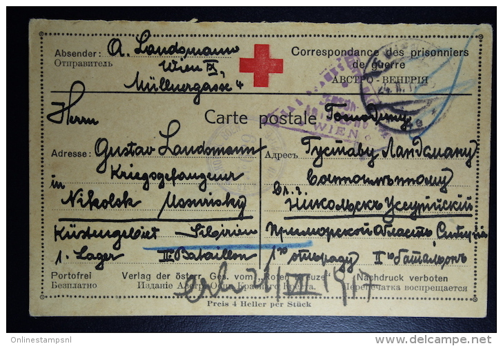 Russia  Prisoner Of War Red Cross Card - Lettres & Documents
