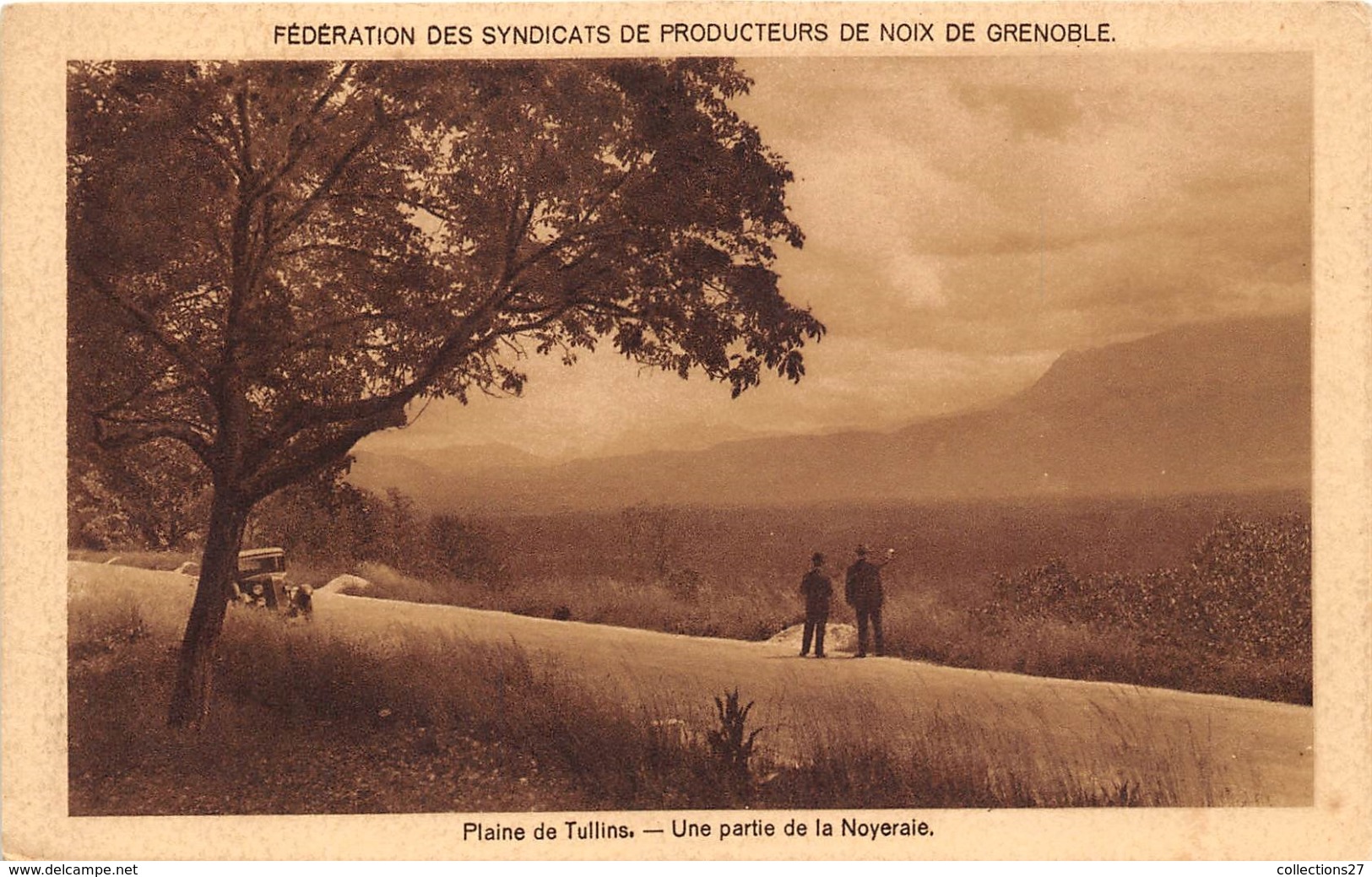 38-TULLINS- LA PLAINE DE TULLINS- UNE PARTIE DE LA NOYERAIE- FEDERATION DES SYNDICATS DE PRODUCTION DE NOIX DE GRENOBLE - Tullins