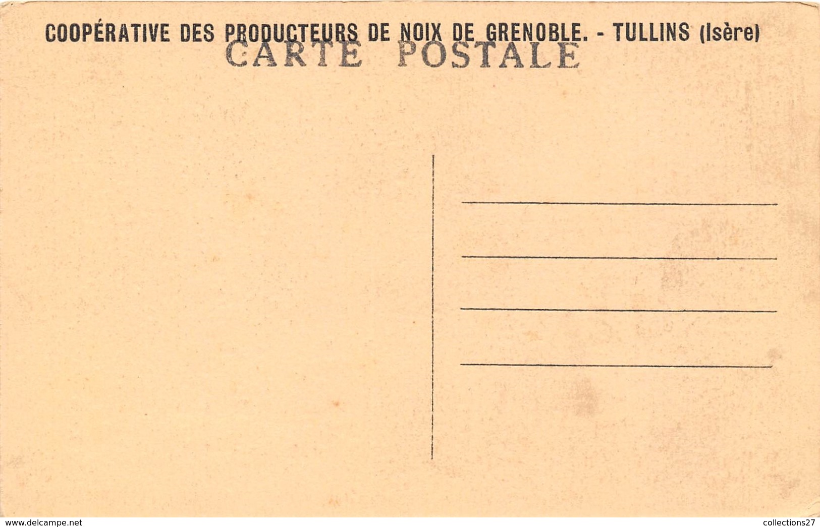 38-TULLINS- LA PLAINE DE TULLINS- UNE PARTIE DE LA NOYERAIE- FEDERATION DES SYNDICATS DE PRODUCTION DE NOIX DE GRENOBLE - Tullins
