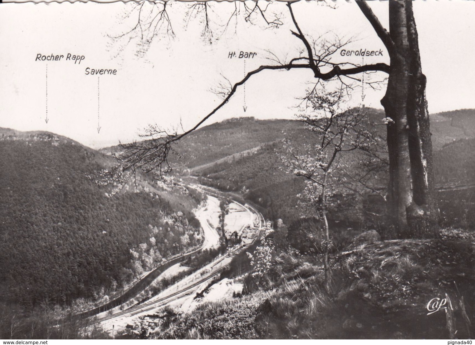 G , Cp , 67 , SAVERNE , Environs , Stambach , Vallée De La Zorn - Saverne