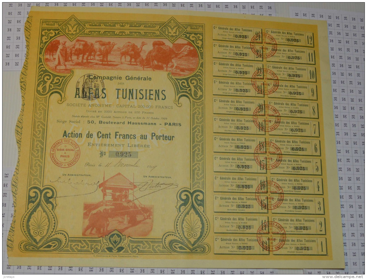 Cie Générale Des Alfas Tunisiens - Transport