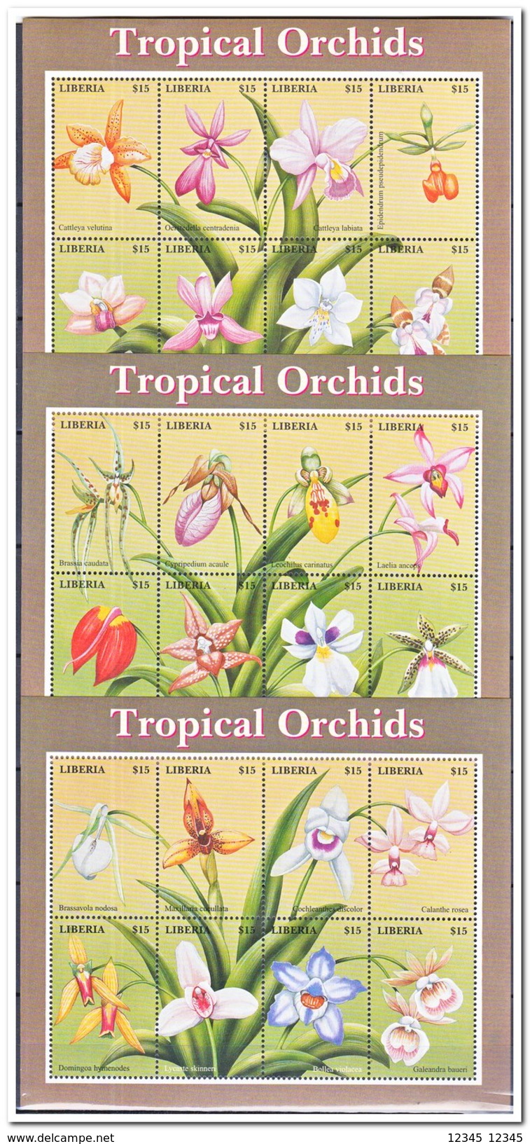 Liberia 2000, Postfris MNH, Flowers, Orchids ( First Sheet A Little Black From Stamp Album ) - Liberia