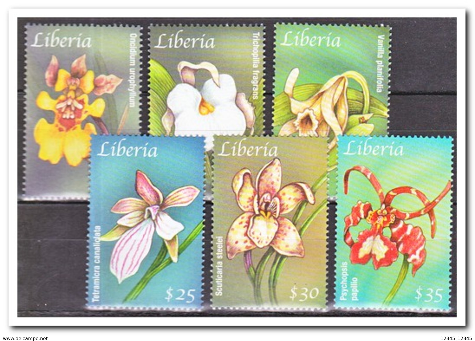 Liberia 2001, Postfris MNH, Flowers, Orchids - Liberia