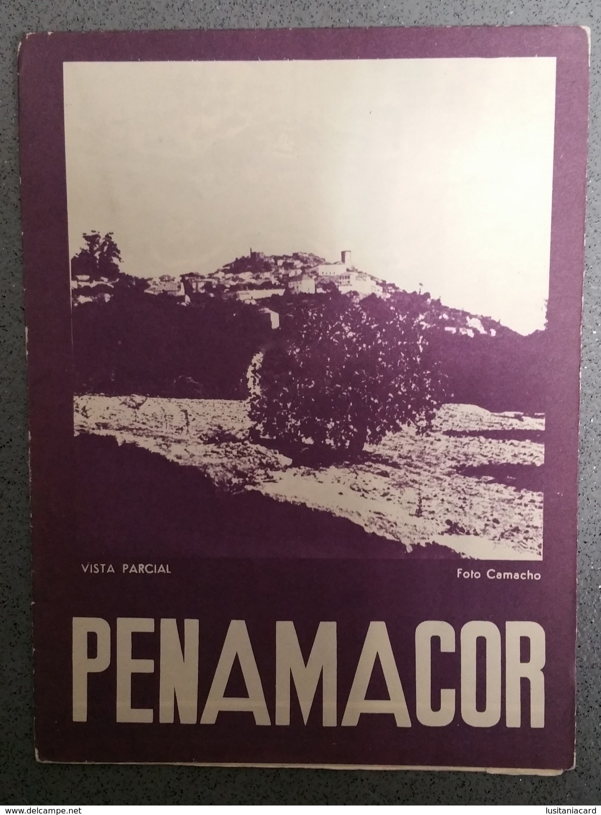 PENAMACOR - ROTEIRO TURISTICO - «Vista Parcial » (Ed. ROTEP Nº 63  - 1960 ) - Oude Boeken