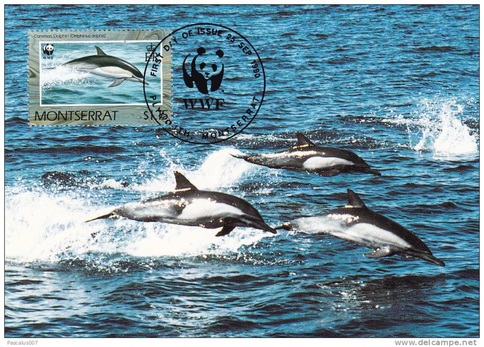 WWF - 103,32 - CM-MC - &euro; 1,06 - 25-9-1990 - $1,15 - Dolphins - Montserrat 1094212 - Montserrat