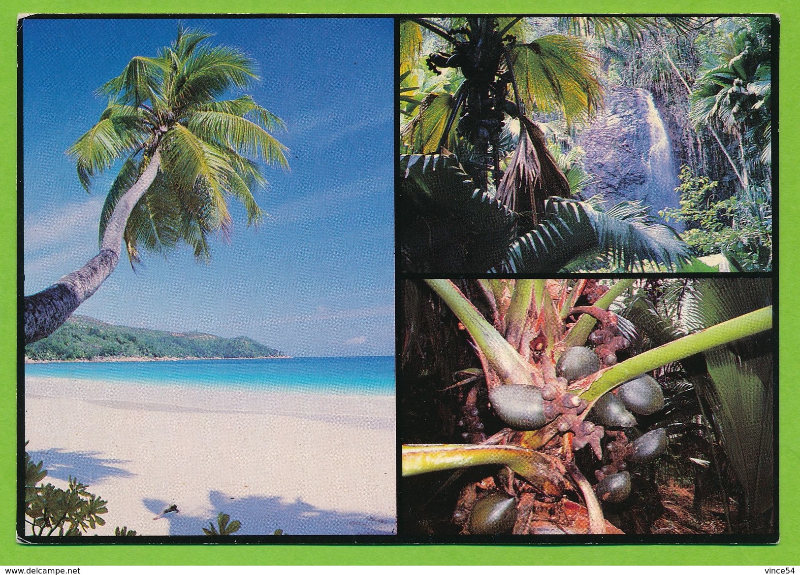 SEYCHELLES - Anse Intendance Mahe Vallée De Mai Praslin Coco De Mer - Seychelles