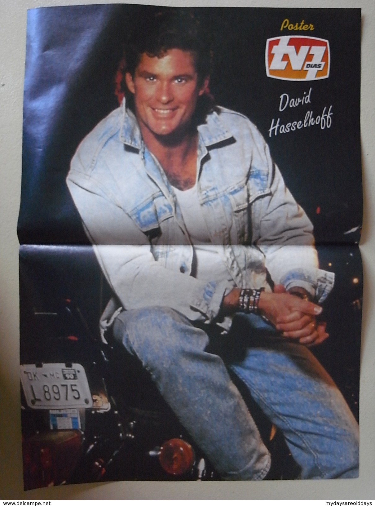 1 Poster - David Hasselhoff - Affiches