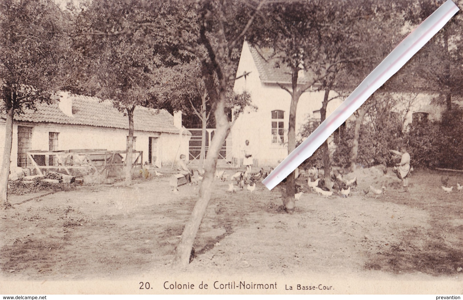 Colonie De CORTIL-NOIRMONT - La Basse-Cour - Chastre