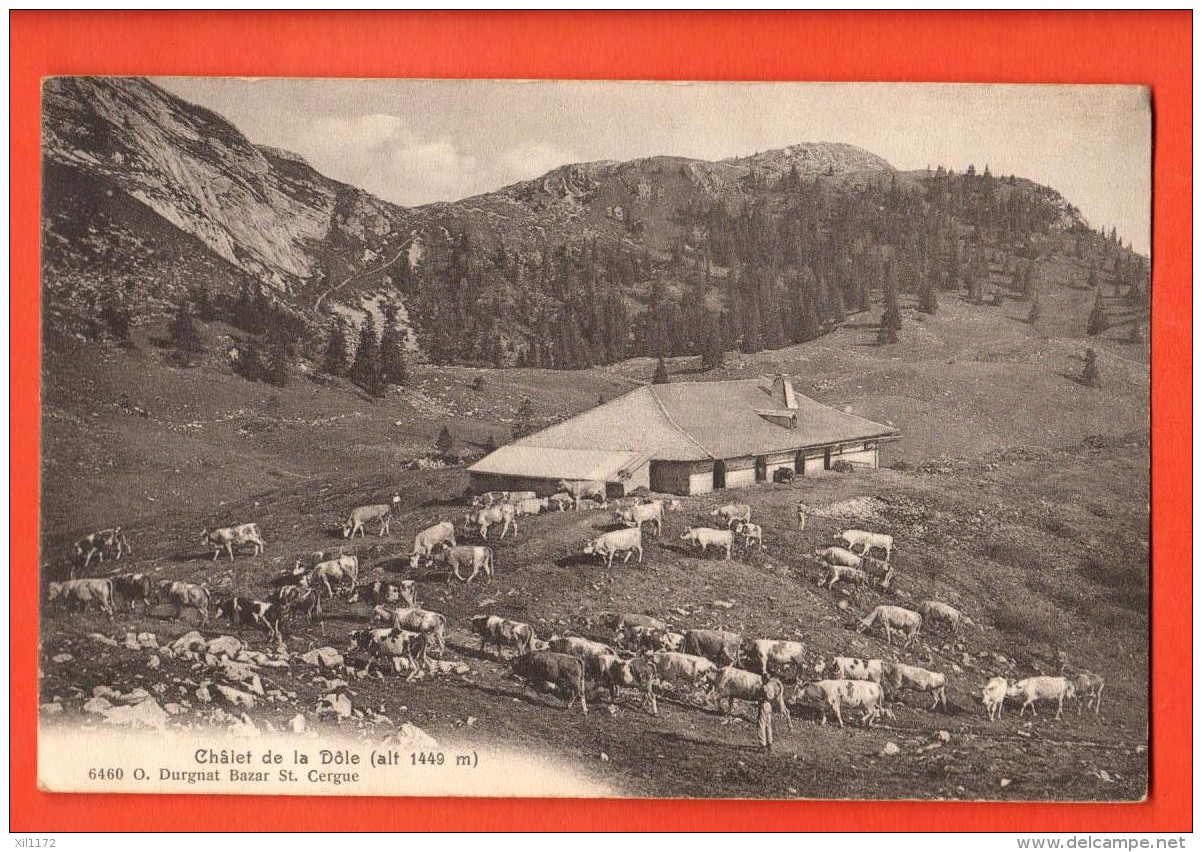 IBC-02  Chalet De La Dôle, Berger Et Troupeau De Vaches, Jura Vaudois. Charnaux Frères 6460  Et Durgnat Bazar St-Cergue - Saint-Cergue