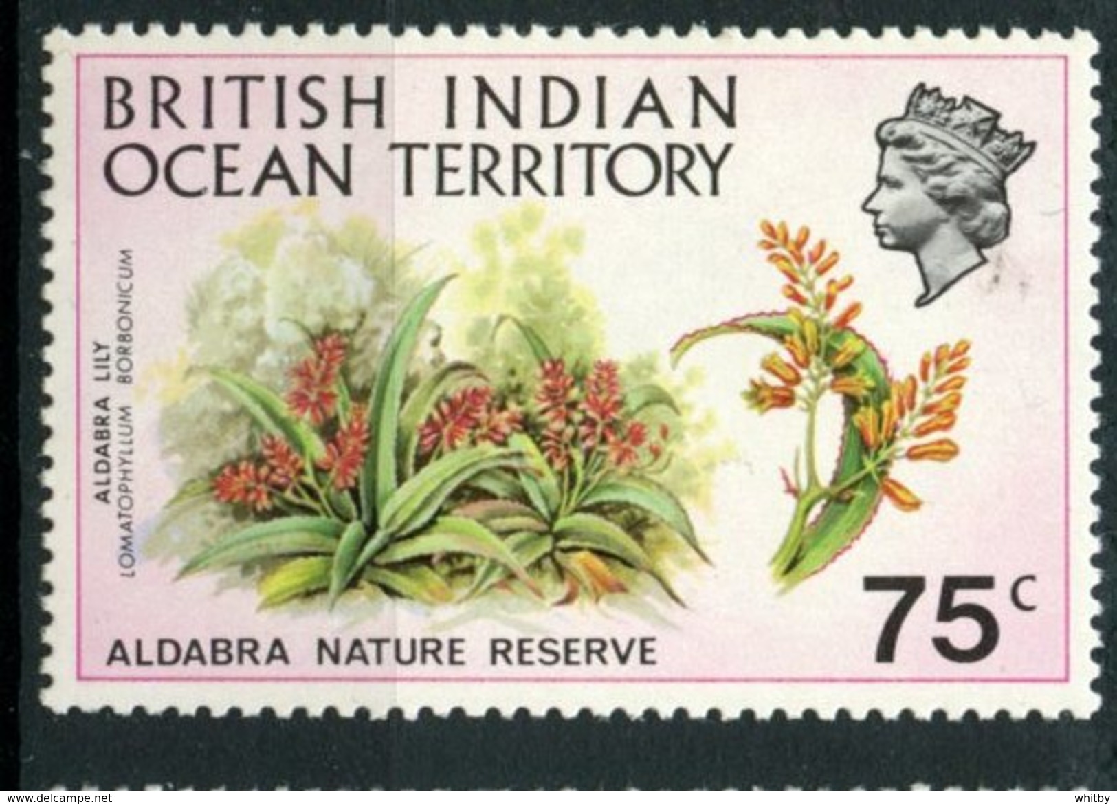 British Indian Ocean Territory 1971 75c Lily Issue  #40 MH - Britisches Territorium Im Indischen Ozean