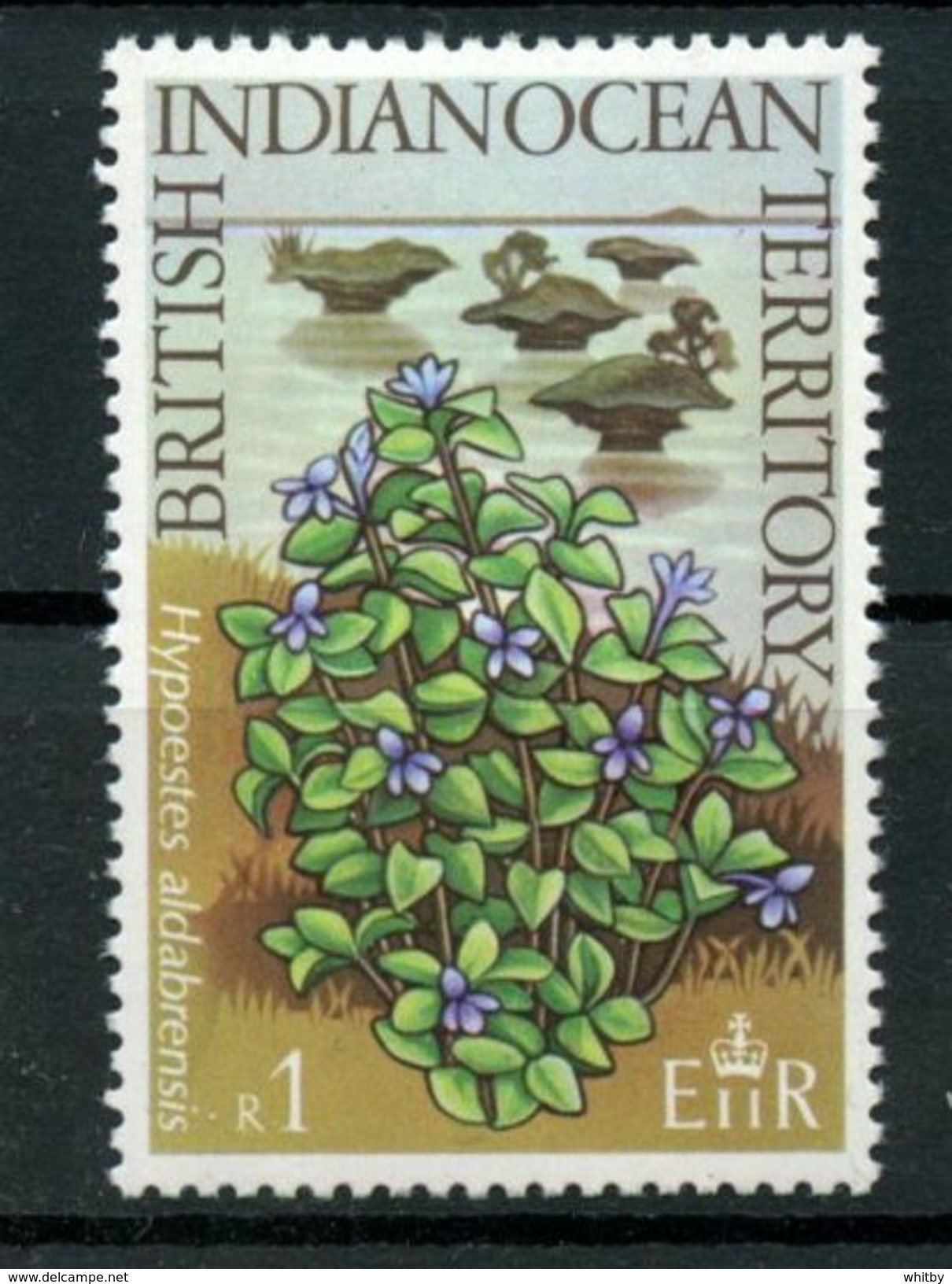 British Indian Ocean Territory 1975 1r Hypoestes Aldabrensis. Issue  #80 MH - Territorio Británico Del Océano Índico