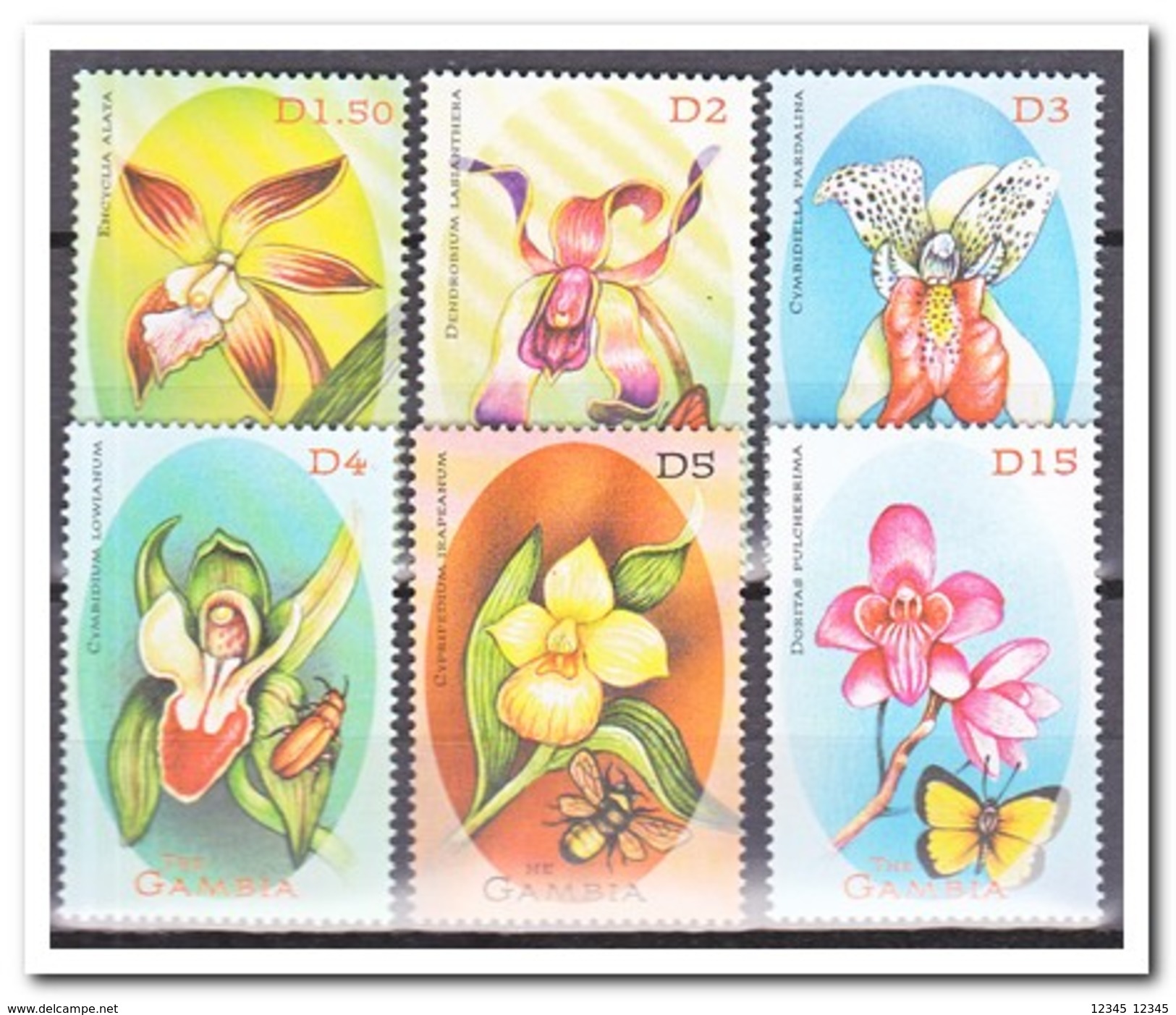 Gambia 2001, Postfris MNH, Flowers, Orchids - Gambia (1965-...)
