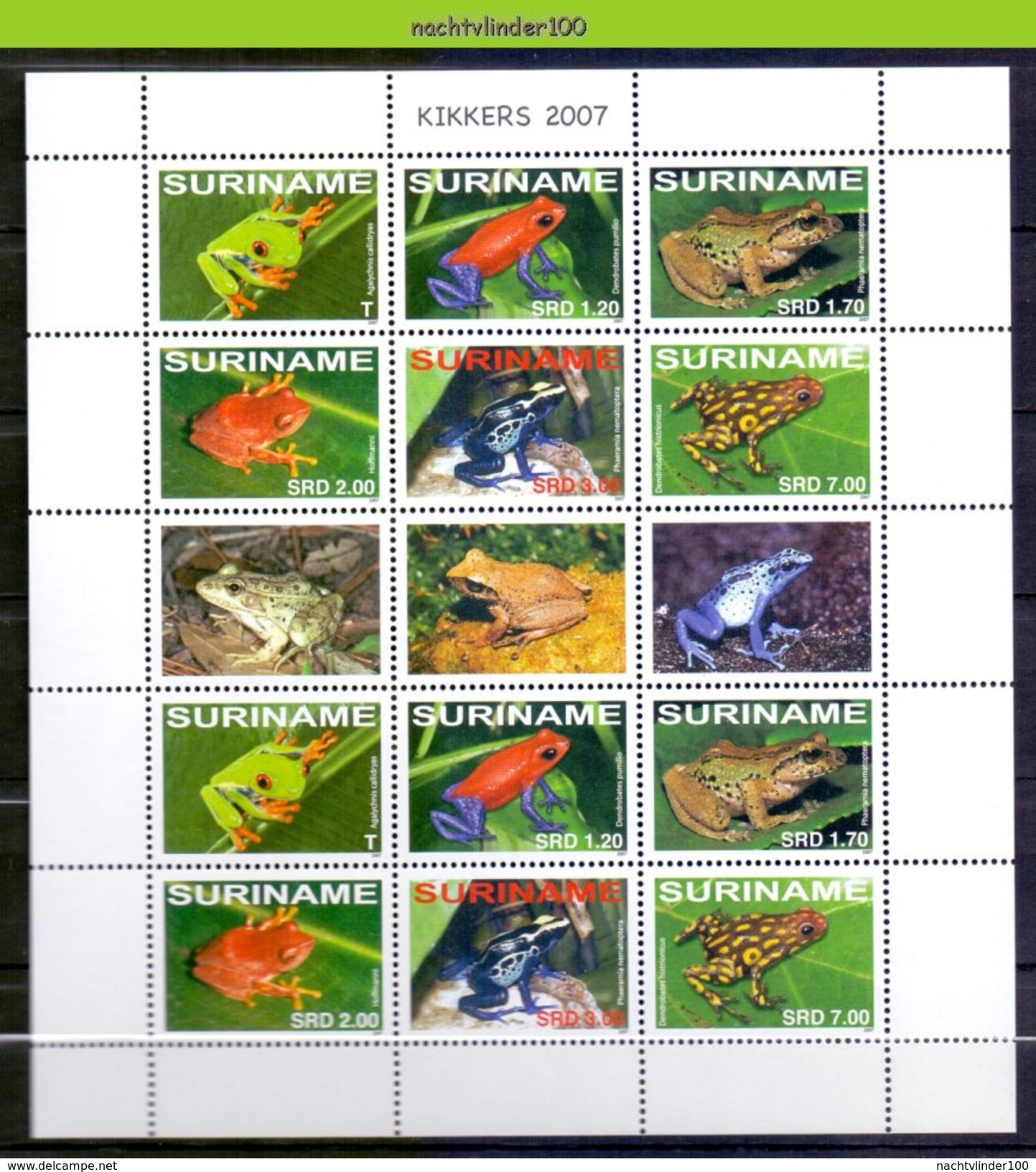 Ndr1493VBPc FAUNA AMFIBIE KIKKERS AMPHIBIAN FROGS FRÖSCHE RANA SURINAME 2007 PF/MNH - Frösche