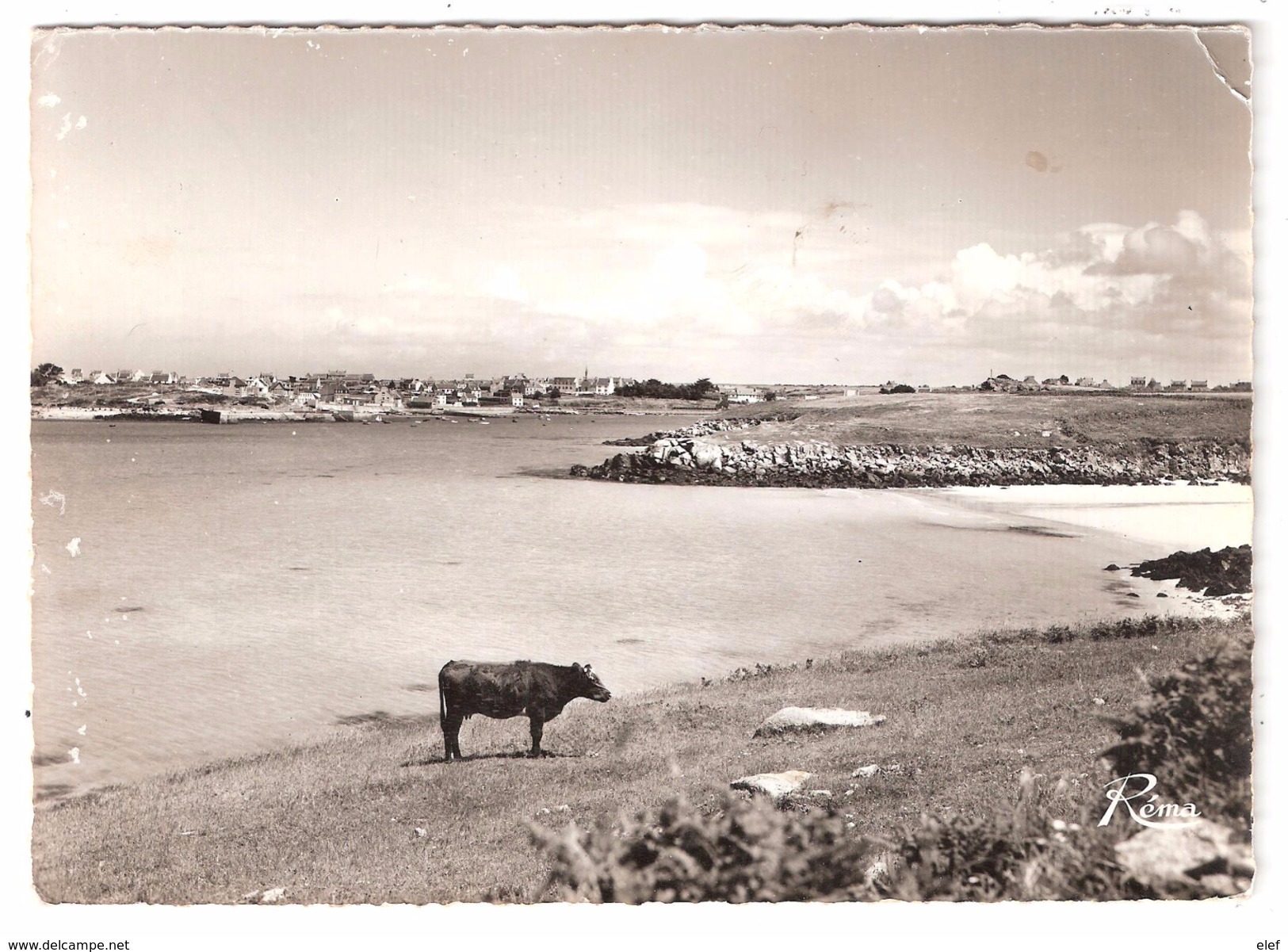 En Bretagne ,PORTSALL KERSAINT ,Finistère; Vue Générale; Vache; Postée De Ploudalmezeau > Lartigue, Guerre Algérie 1959 - Kersaint-Plabennec