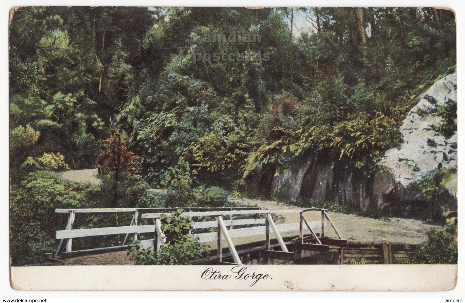 NEW ZEALAND Scenic OTIRA GORGE - Plants And Bridge C1900s-1910s Vintage Postcard - New Zealand