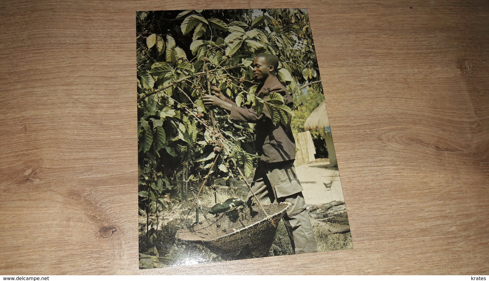 Postcard - Republique De Guinee   (V 31099) - Guinée