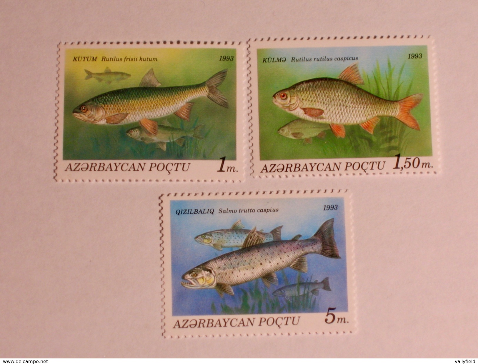 AZERBAÏJAN  1993  LOT#1  Fish - Azerbaïdjan