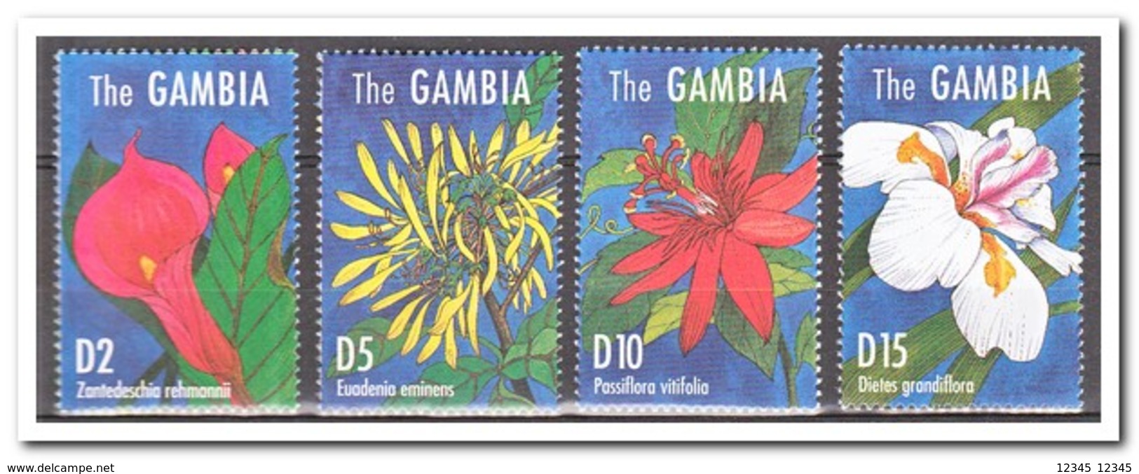 Gambia 1995, Postfris MNH, Flowers - Gambia (1965-...)