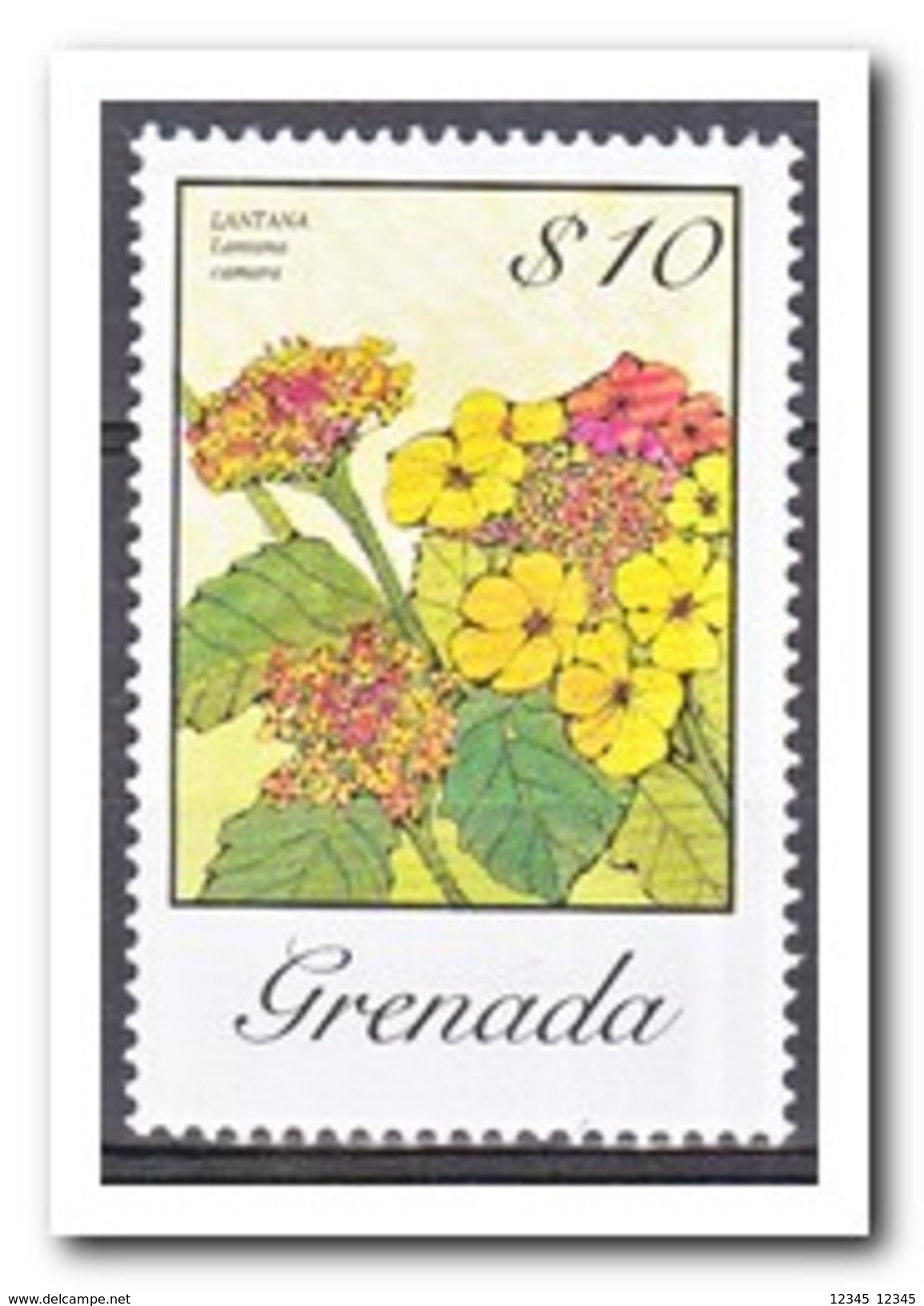 Grenada 1985, Postfris MNH, Flowers - Grenada (1974-...)