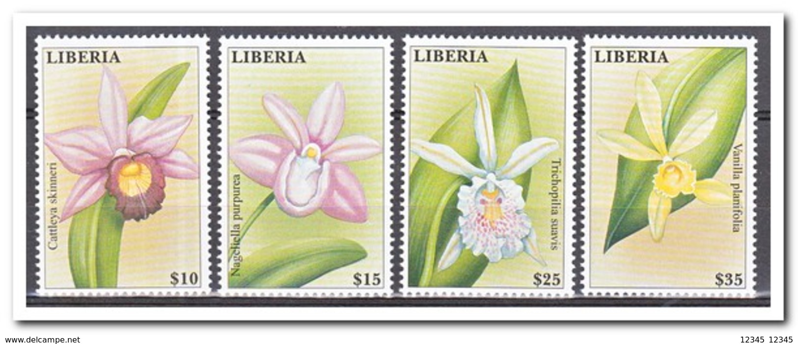Liberia 2000, Postfris MNH, Flowers, Orchids - Liberia
