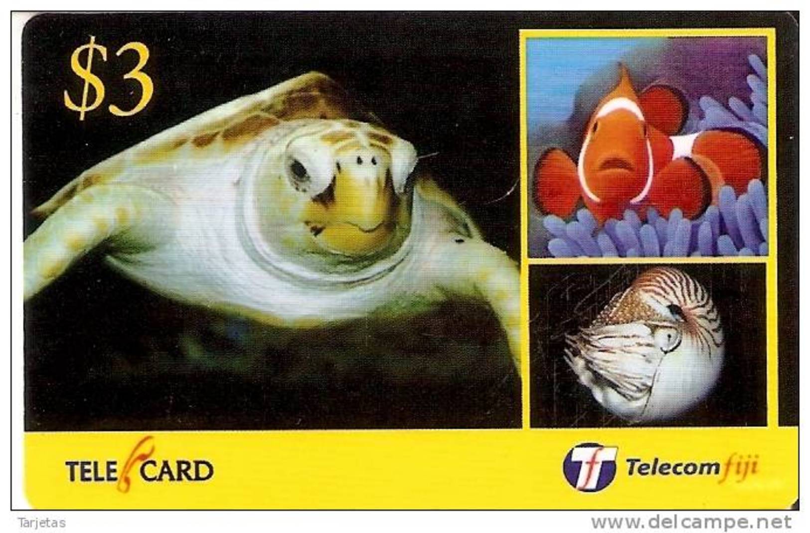 TARJETA DE LAS FIJI DE UNA TORTUGA  Y PEZ PAYASO (TURTLE-FISH) - Fiji