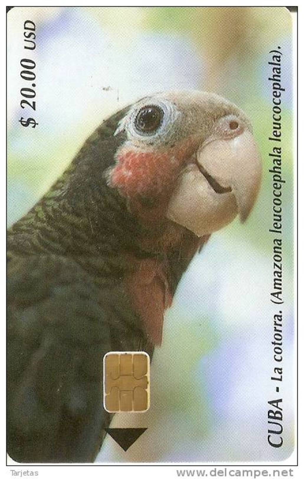 Nº 150 TARJETA DE CUBA DE UNA COTORRA (LORO-PARROT) - Cuba