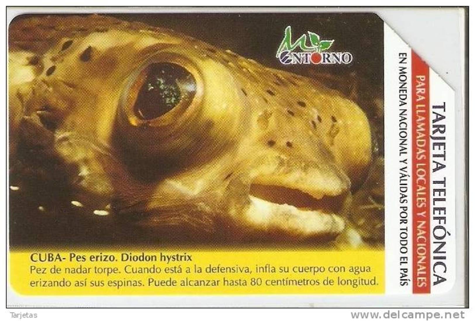 UR-033 TARJETA DE CUBA DE UN PEZ ERIZO (FISH) - Peces