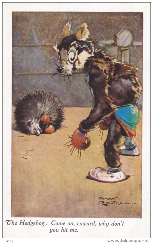 Boxing Artist Signed Image Hedgehog 'Come On Coward, Why Don't You Hit Me', C1910s Vintage Postcard - Boxing