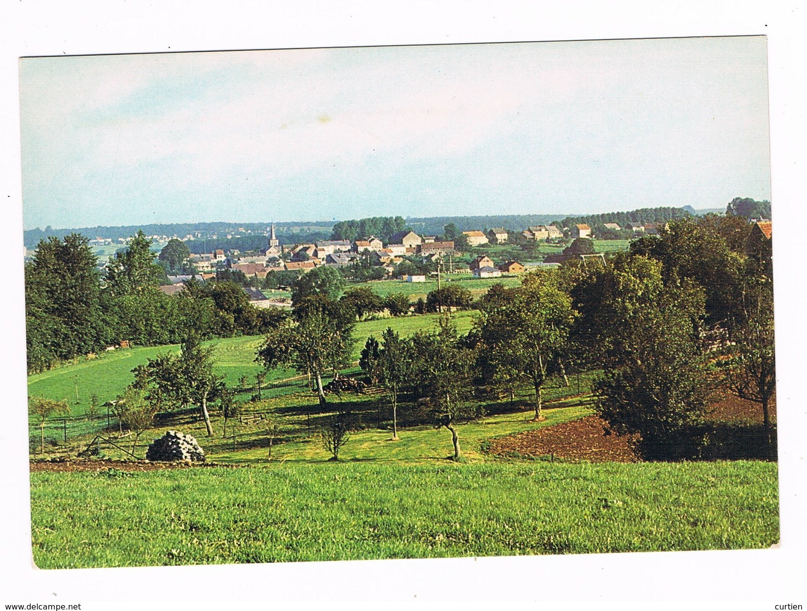 METTET . Belgique . Panorama . - Mettet