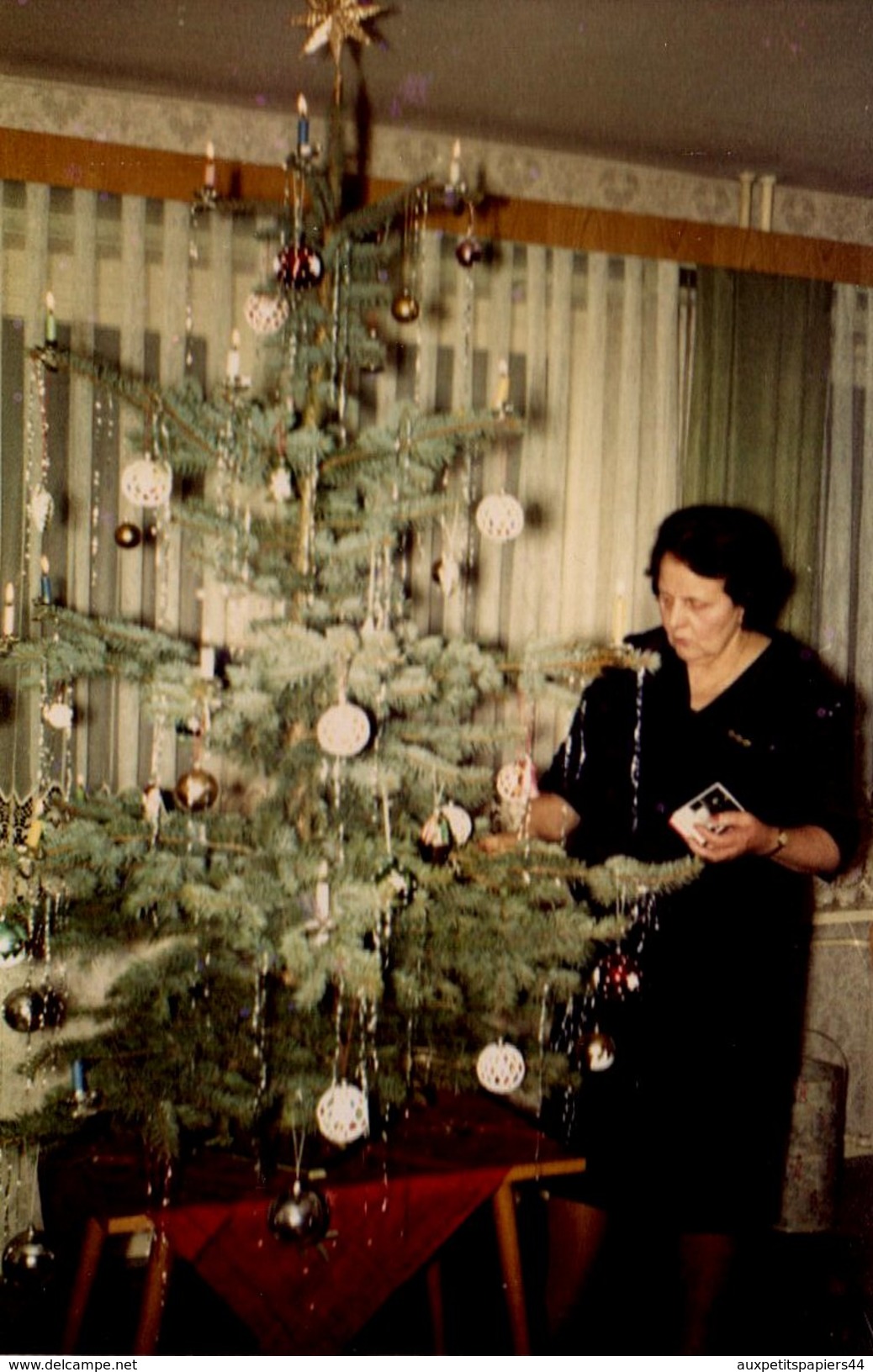 Photo Couleur Originale Noël 1966 - Femme Décorant Son Magnifique Sapin De Noël - Personnes Anonymes