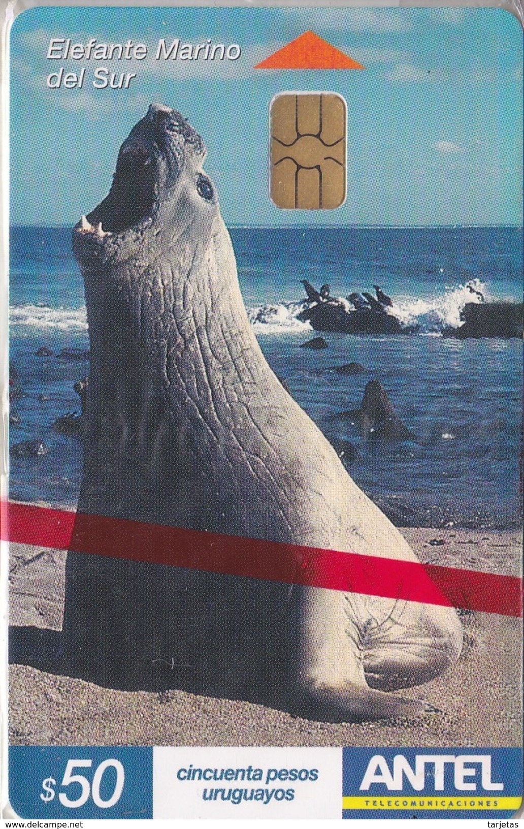 Nº 295 TARJETA DE URUGUAY DEL ELEFANTE MARINO DEL SUR (SEAL-FOCA)  (NUEVA-MINT) - Uruguay