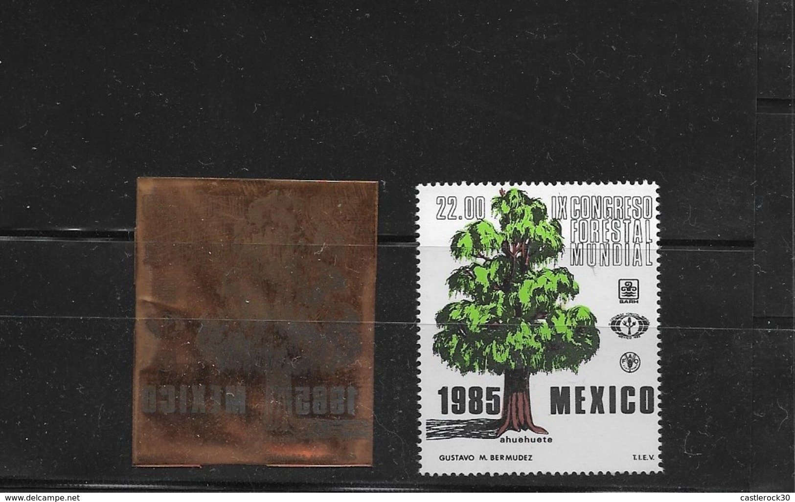 O) 1985 MEXICO,PRINT PLATE,  IX WORLD FORESTRY CONGRESS,  TREE AHUEHUETE, XF - Mexico