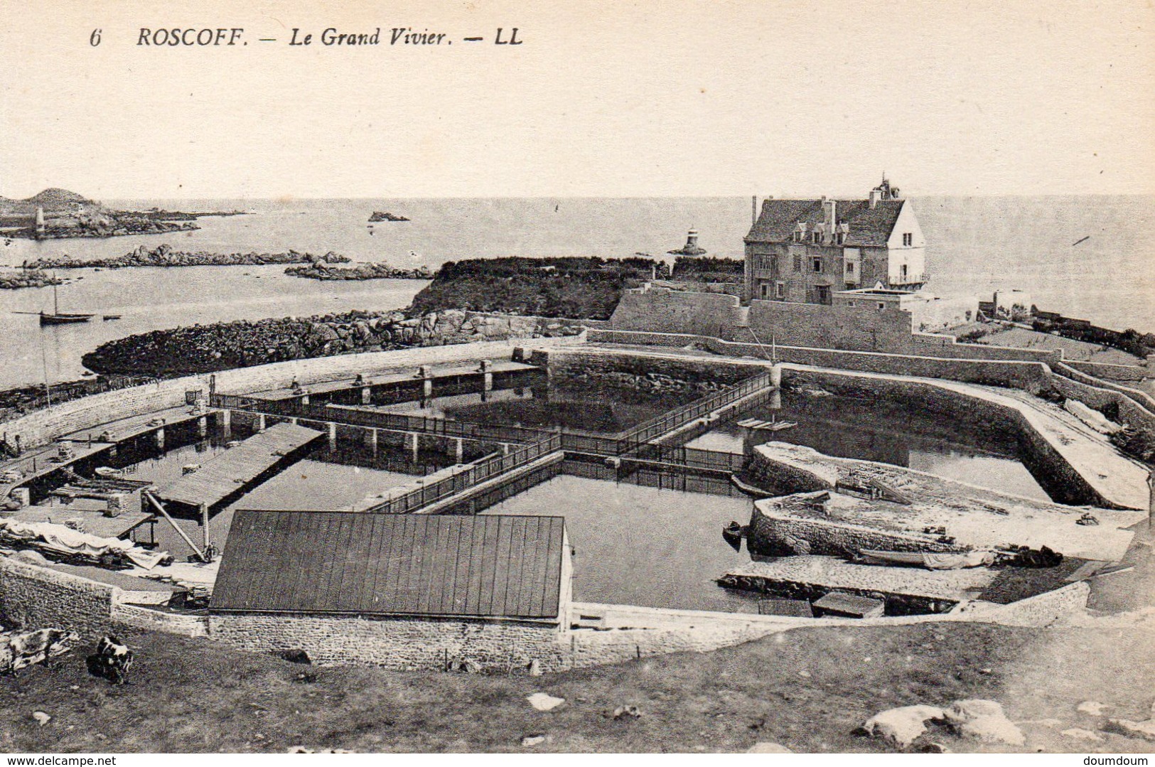 CPA ROSCOFF - LE GRAND VIVIER - Roscoff