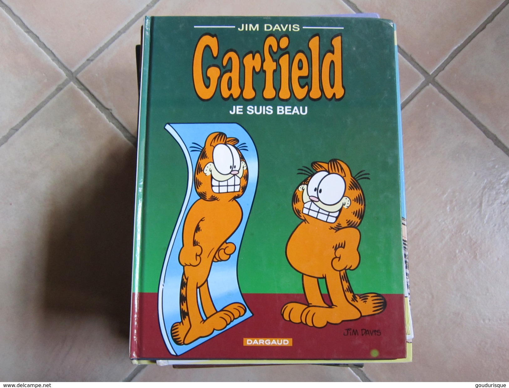 GARFIELD T13 JE SUIS BEAU   JIM DAVIS - Garfield