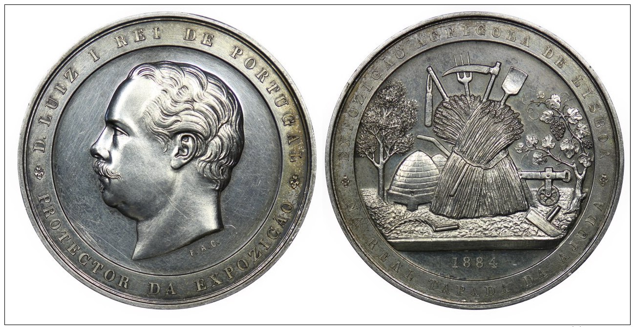 Portugal - Medal - D. Lu&iacute;s I 1884 - Unclassified