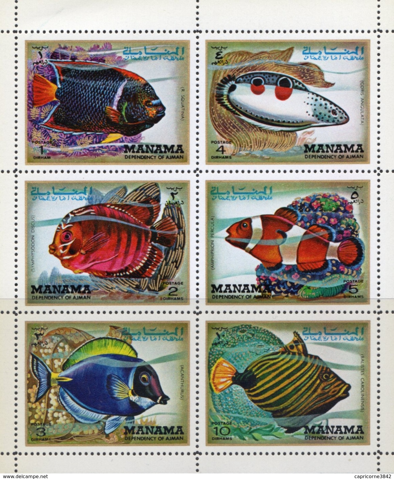 MANAMA - 1972 - Poissons Tropicaux - Bloc Yvert N° 74 - Fishes