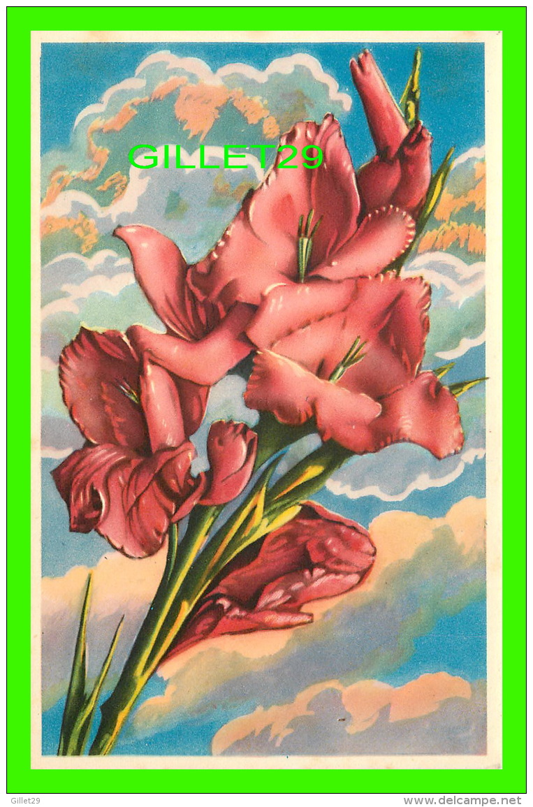 FLEURS - GGERBE DE GLAIEUILS -  ÉCRITE EN 1975 - - Fleurs