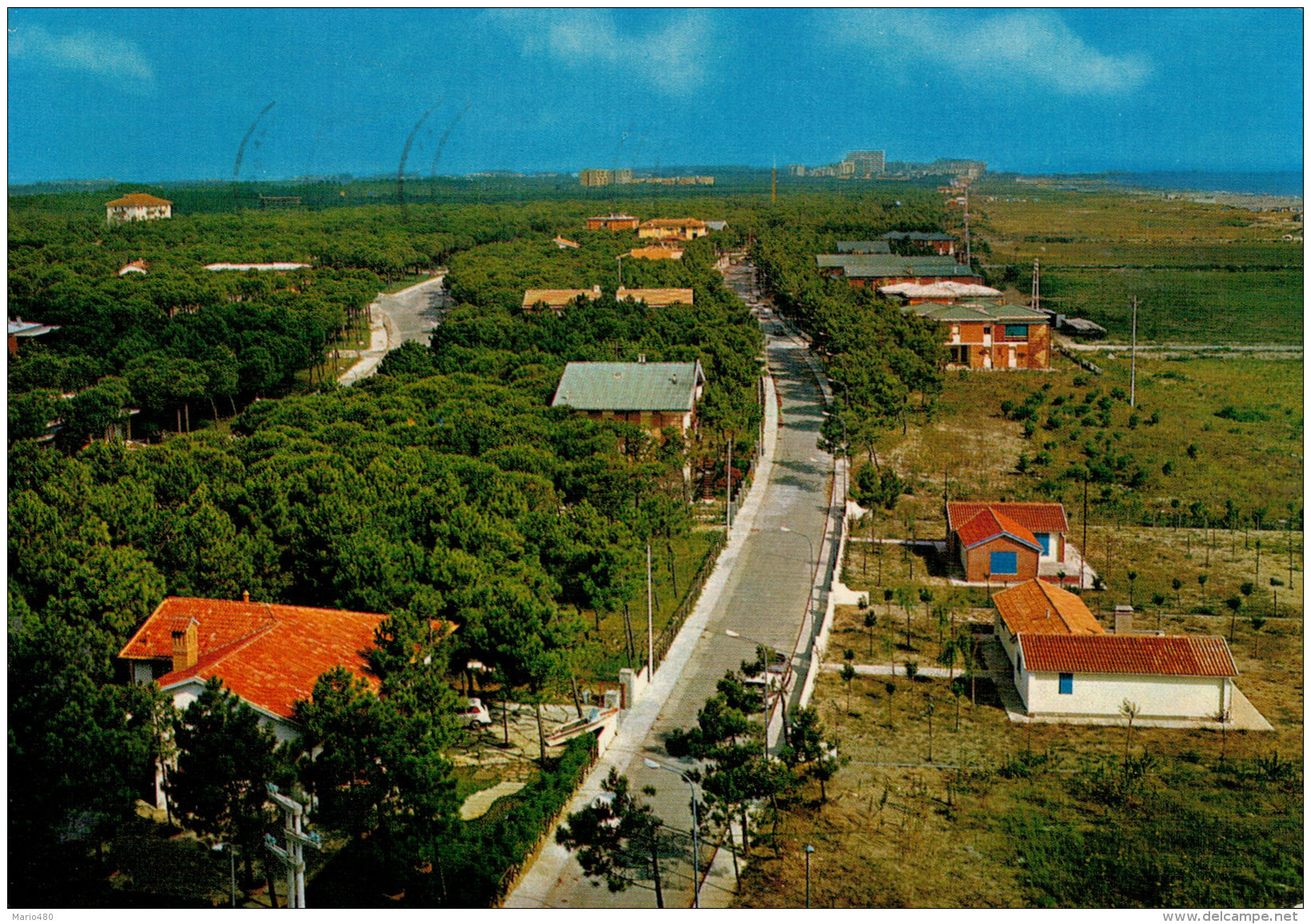 LIDO  DI  SPINA  (FE)    PANORAMA             (VIAGGIATA) - Altri & Non Classificati