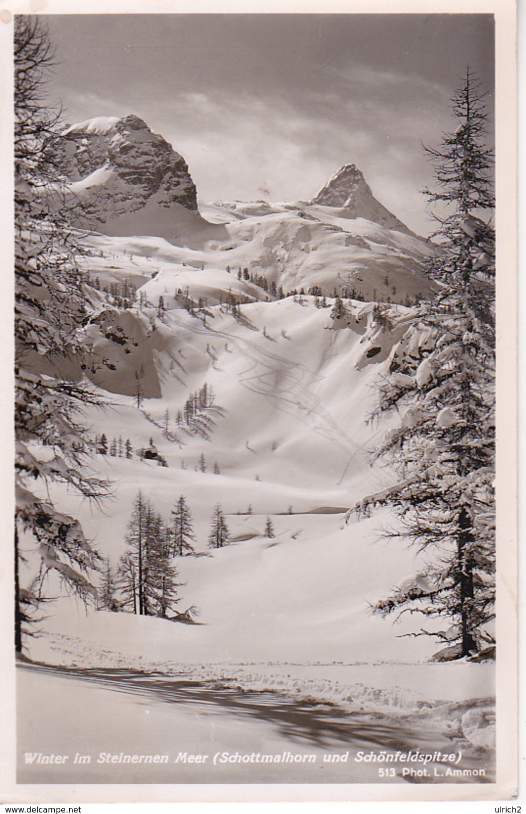 AK Winter Im Steinernen Meer - Schottmalhorn Und Schönfeldspitze - 1954 (28051) - Berchtesgaden