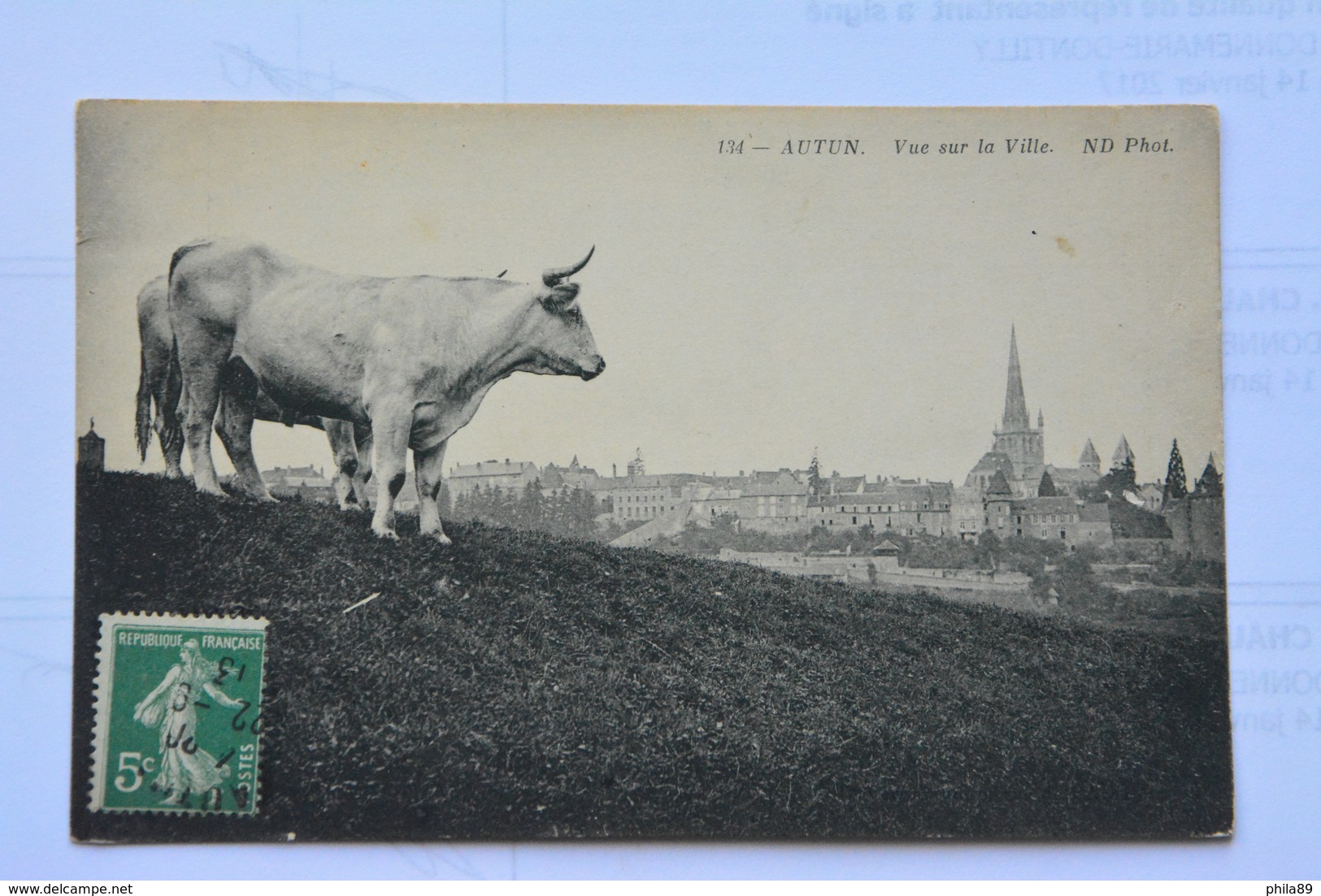 AUTUN-vue Sur La Ville-boeuf En Gros Plan - Autun