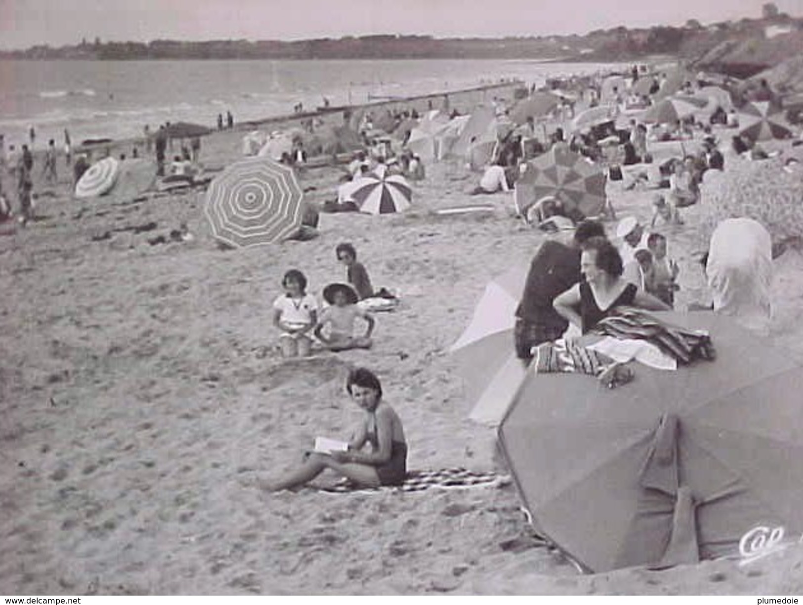 Cpsm 50 KAIRON SUR MER Animée LA PLAGE , Baigneurs Parasol Tente , MANCHE   Recto Verso  Prix Fixe - Autres & Non Classés